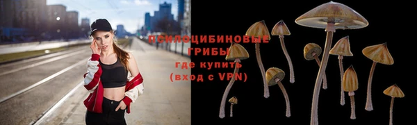 ешки Магас
