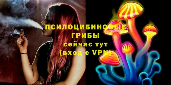 ешки Магас