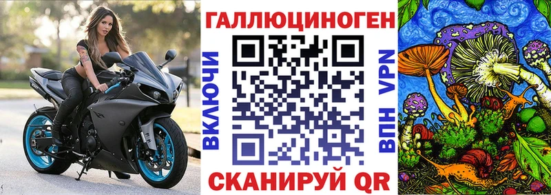 Галлюциногенные грибы мицелий где продают Иланский